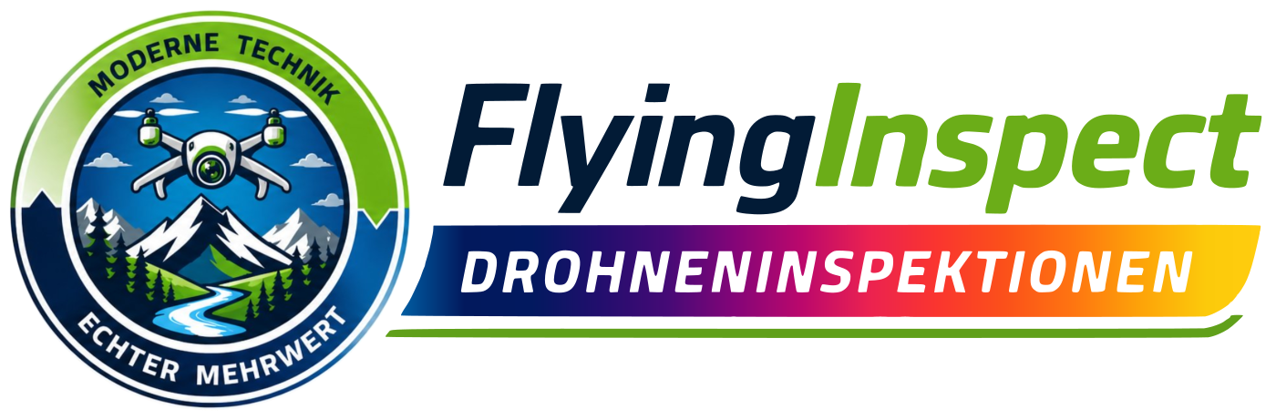 FlyingInspect